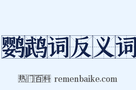 鹦鹉词反义词是什么意思的图片